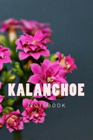 Cover of Kalanchoe