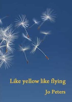 Book cover for Like yellow like flying