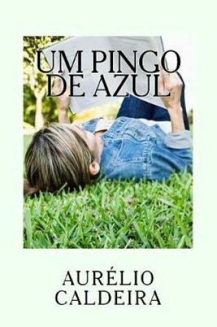 Cover of Um pingo de zul