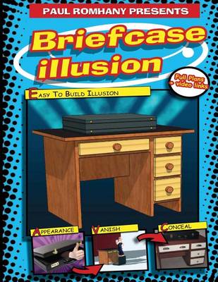 Book cover for Briefcase Illusion