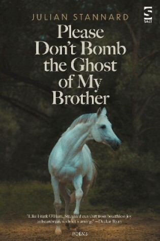 Cover of Please Don’t Bomb the Ghost of My Brother