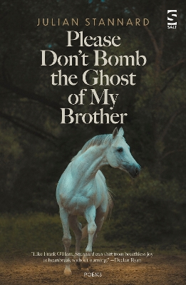 Book cover for Please Don’t Bomb the Ghost of My Brother