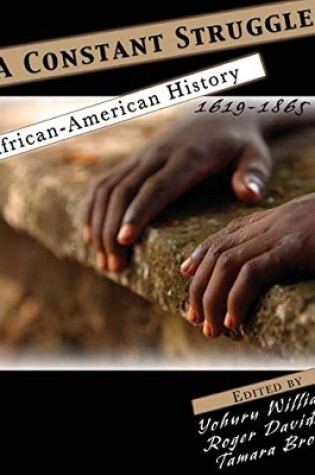 Cover of A Constant Struggle: African-American History 1619-1865