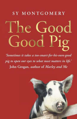 Book cover for The Good Good Pig