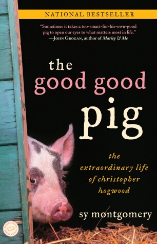 Book cover for The Good Good Pig