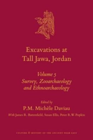 Cover of Excavations at Tall Jawa, Jordan