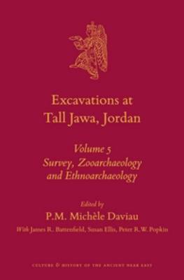 Book cover for Excavations at Tall Jawa, Jordan