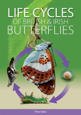 Book cover for Life Cycles of British and Irish Butterflies