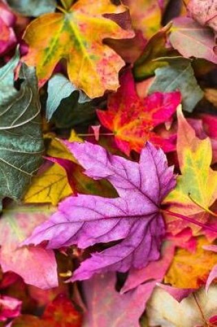 Cover of Colorful Bold Autumn Leaves with Stems Journal