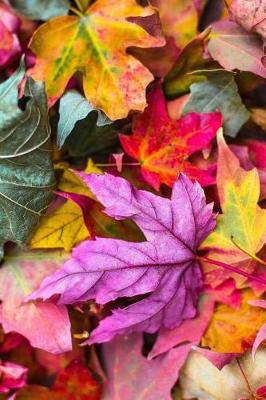 Book cover for Colorful Bold Autumn Leaves with Stems Journal