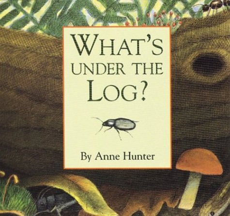 Book cover for What's under the Log?