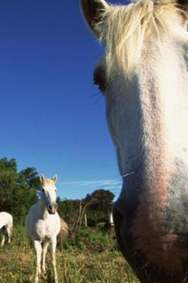 Book cover for 2020 Daily Planner Horse Photo Equine Herd White Horses 388 Pages