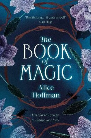 Cover of The Book of Magic