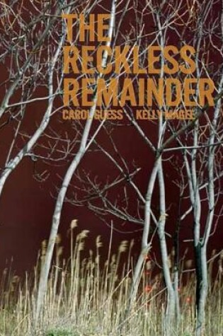 Cover of The Reckless Remainder