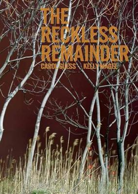 Book cover for The Reckless Remainder