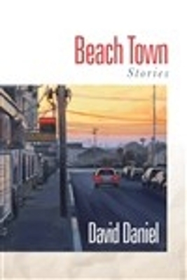 Book cover for Beach Town