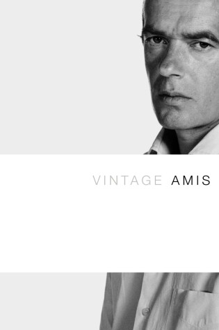 Cover of Vintage Amis