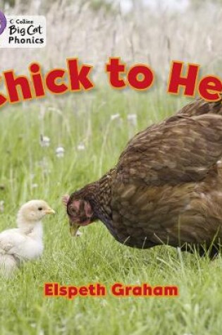 Cover of Chick to Hen