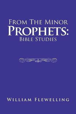 Book cover for From the Minor Prophets