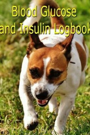 Cover of Blood Glucose and Insulin Logbook