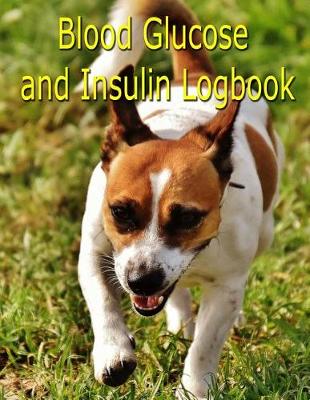 Book cover for Blood Glucose and Insulin Logbook