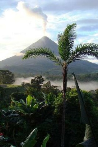 Cover of Palm Tree and Volcano Travel Journal