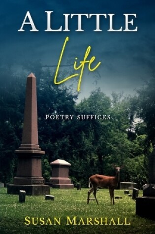 Cover of A Little Life