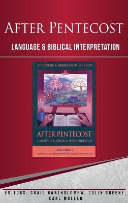 Cover of After Pentecost (Scripture & Hermeneutics Series)