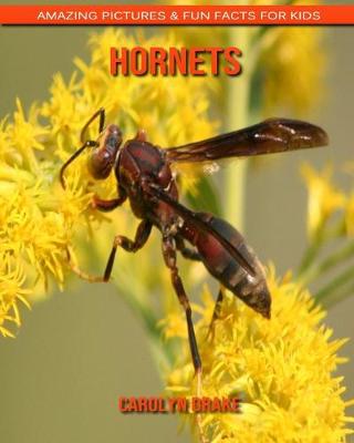 Book cover for Hornets