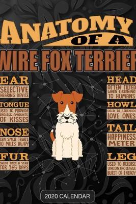 Book cover for Anatomy Of A Wire Fox Terrier