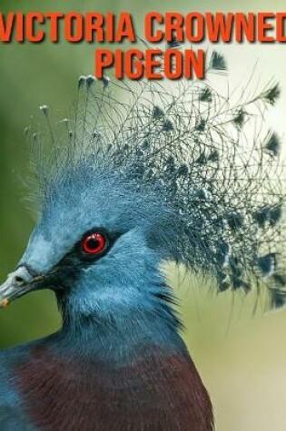 Cover of Victoria Crowned Pigeon