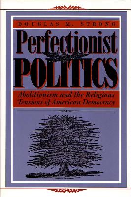 Book cover for Perfectionist Politics