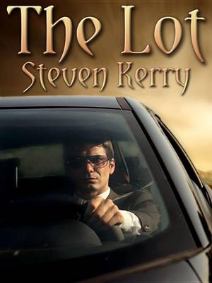 Book cover for The Lot