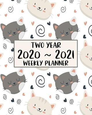 Book cover for Two Year 2020 - 2021 Weekly Planner