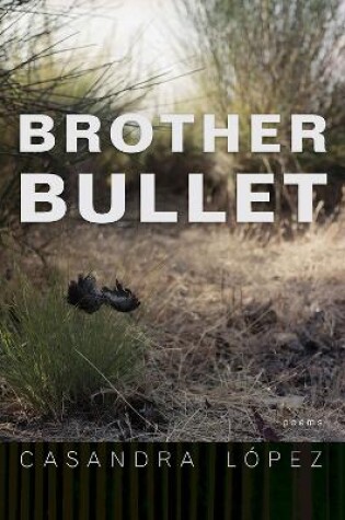 Cover of Brother Bullet