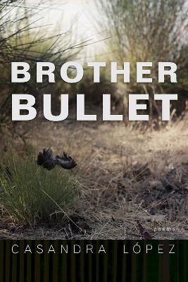 Cover of Brother Bullet