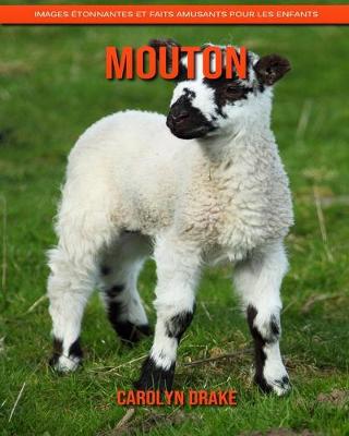 Book cover for Mouton