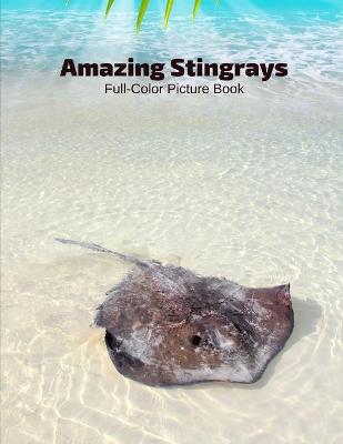 Book cover for Amazing Stingrays Full-Color Picture Book