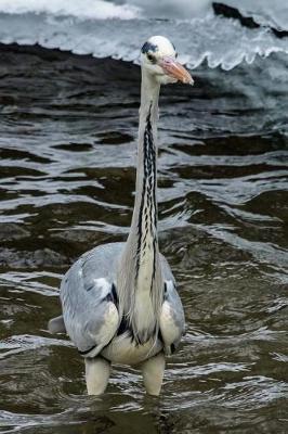 Book cover for Crane in the Water Bird Journal