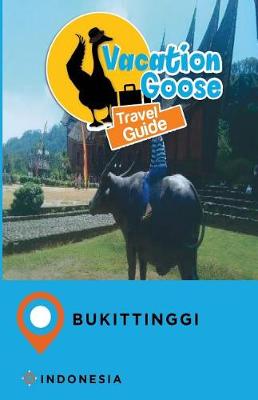 Book cover for Vacation Goose Travel Guide Bukittinggi Indonesia