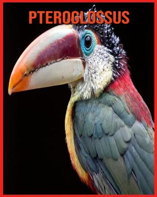 Book cover for Pteroglossus