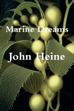 Cover of Marine Dreams