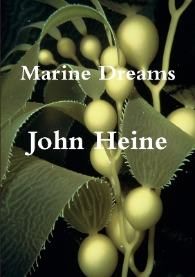 Book cover for Marine Dreams