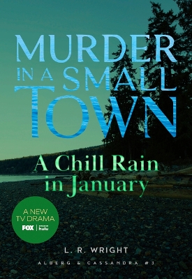 Cover of A Chill Rain in January: Murder in a Small Town