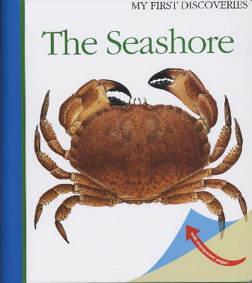 Cover of The Seashore