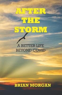 Book cover for After the Storm