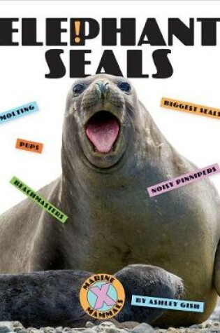 Cover of Elephant Seals