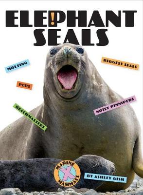 Book cover for Elephant Seals