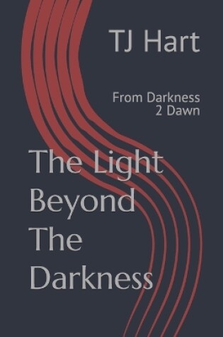 Cover of The Light Beyond The Darkness