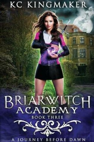 Cover of Briarwitch Academy 3